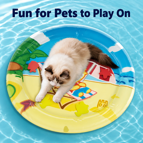 Water-Filled Cat Bed