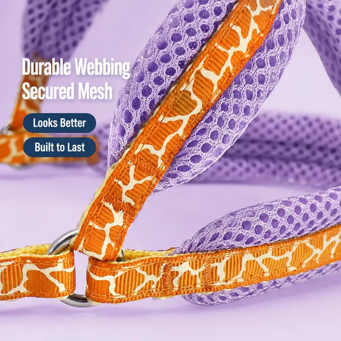 Small Dog Vest Harness and Leash Set