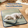 Silicone Dog Resting Mat