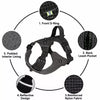 Adjustable Nylon Vest-Style Dog Harness with Leash