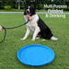Floating Dog Frisbee Toy for Fetch and Interactive Play
