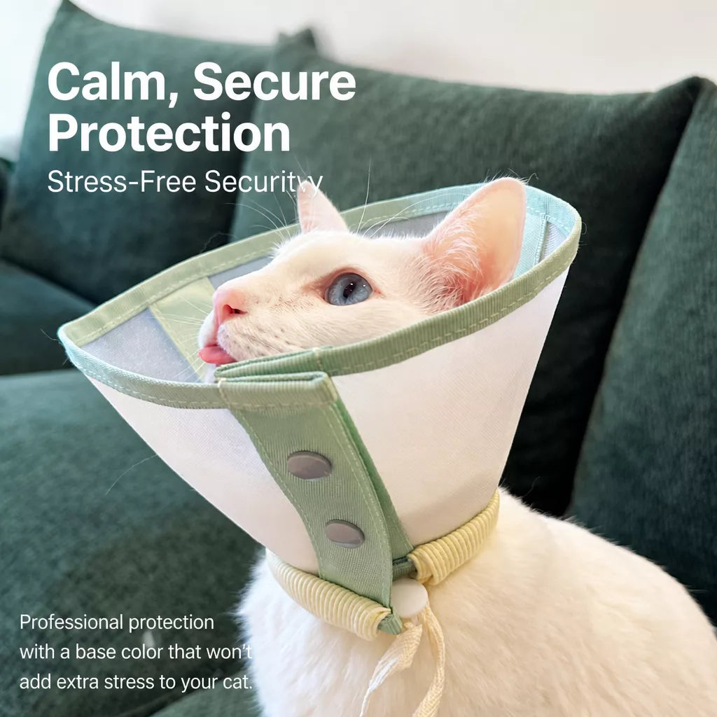 Lightweight Pet Recovery Collar for Dogs & Cats