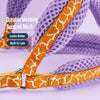 Small Dog Vest Harness