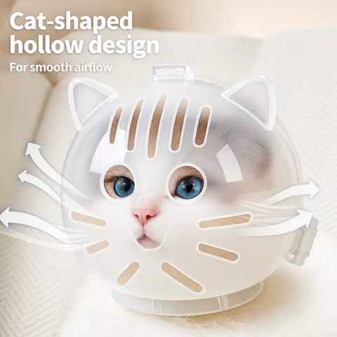 Clear Plastic Recovery Cone for Cats