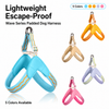 Y-Shaped Nylon Dog Harness and Leash