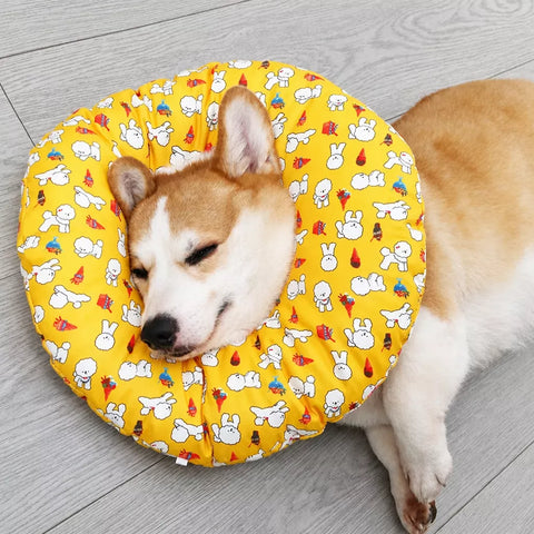 Soft Recovery Collar for Dogs