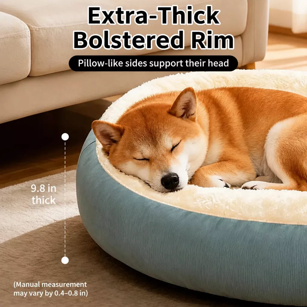 Cushioned All-Season Cat & Dog Bed