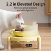 Ceramic Pet Bowl Set with Stand