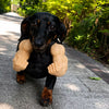 3D-Printed Arm Charm Neck Accessory for Cats and Dogs