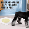 Absorbent Pet Urine Cleanup Sheets