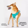 Lightweight Nylon Dog Harness and Leash Set for Everyday Walks