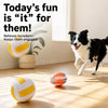 Squeaky Vinyl Dog Toy Balls for Small and Medium Dogs