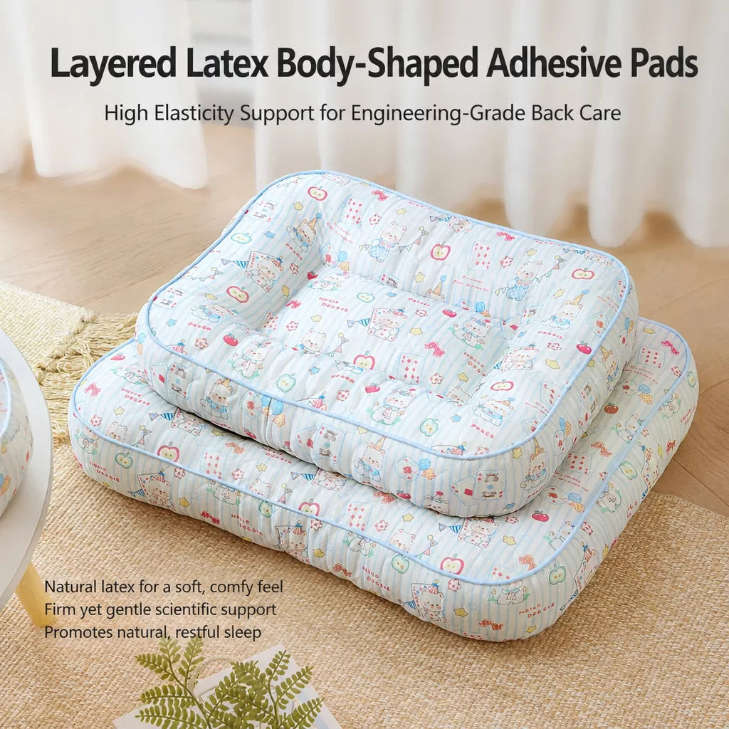 Washable Removable Small Dog Bed for Year-Round Use