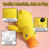 Plush Squeaky Dog Toys – Duck, Rope & Multi-Piece Designs