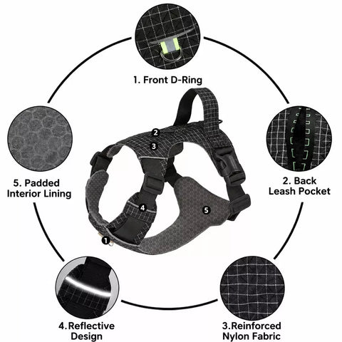 Adjustable Nylon Vest-Style Dog Harness with Matching Leash