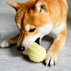 Peanut-Shaped Squeaky Dog Toy for Small and Large Breeds