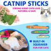 Fish Crinkle Cat Toy - p-00030