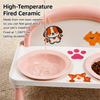 Raised Ceramic Double Pet Bowl Set
