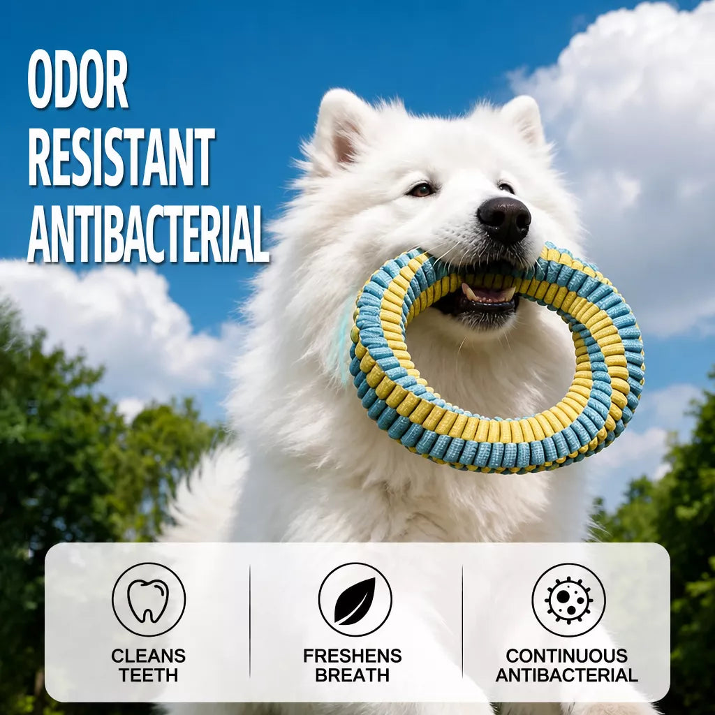 Nylon Dog Tug Toy for Interactive Play