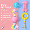 Dog Chew and Play Toys