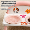 Raised Ceramic Double Pet Bowl Set