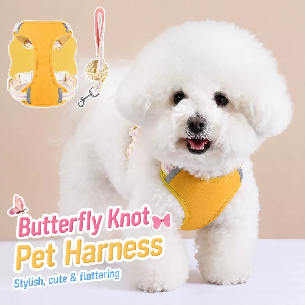 Bow Vest Harness and Leash for Small Dogs