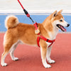 Adjustable Dog Harness and Handheld Leash