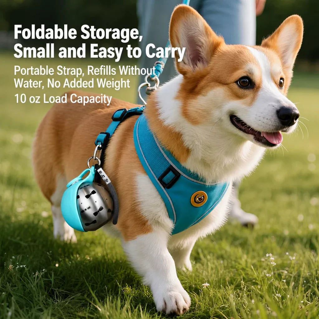 Portable Pet Water Bottle for Dogs and Cats