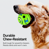 Squeaky Vinyl Dog Ball Toy