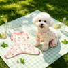 Lightweight Four-Leg Dog Shirt for Warm-Weather Wear