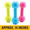 Latex Squeaky Dog Toy