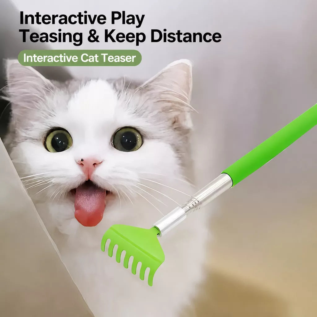 Retractable Pet Scratching Stick
