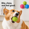 Paw Print Squeaky Ball Dog Toy