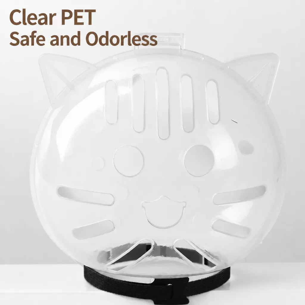 Clear Plastic Recovery Cone for Cats