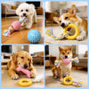 Dog Chew and Play Toys