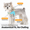 Y-Shaped Nylon Dog Harness and Leash