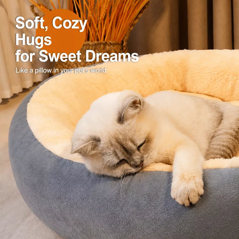 Cushioned All-Season Cat & Dog Bed