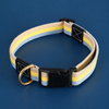 Adjustable Canvas Pet Collar