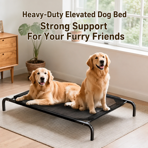 Elevated Nylon Dog Cot Bed with Removable, Washable Design
