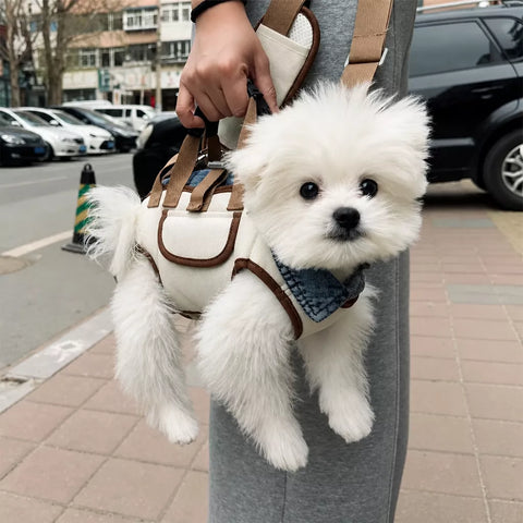 Nylon Pet Carrier Sling Bag for Small Dogs and Cats
