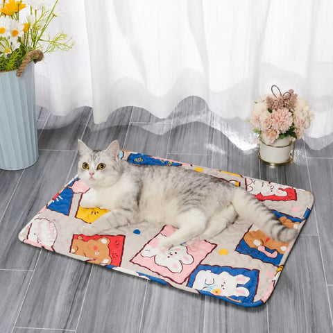 Floor Pet Bed Mat for Dogs and Cats
