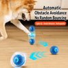 Interactive Squeaky Bouncing Ball Dog Toy