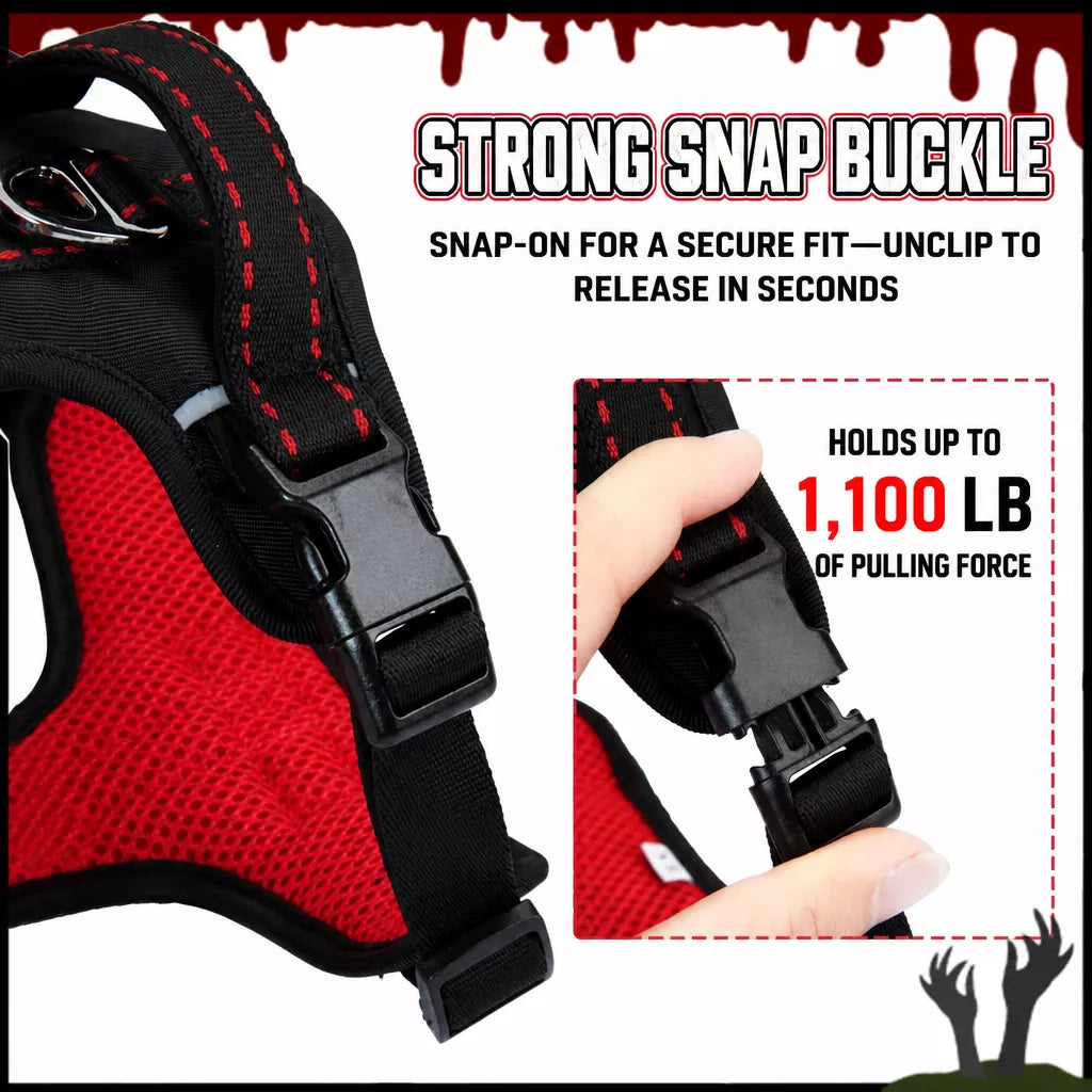 Winged Nylon Dog Harness with Leash Options