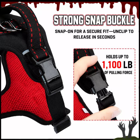 Winged Nylon Dog Harness with Leash Options