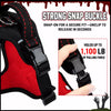 Winged Nylon Dog Harnesses & Leashes