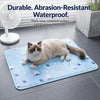 Bear Design Pet Rest Mat for Cats & Dogs