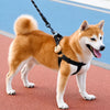 Adjustable Dog Harness and Handheld Leash