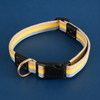Adjustable Canvas Pet Collar