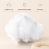 Low-Profile Pet Bed Mat for Cats and Dogs