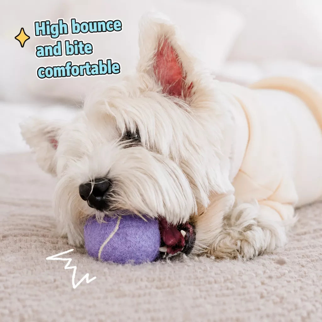 Ice Cream-Themed Interactive Dog Ball Toy